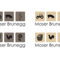 moser.jpg
